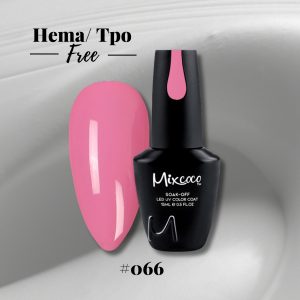 Mixcoco 066
