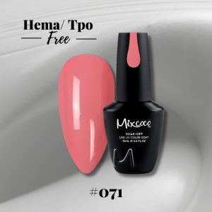 Mixcoco 071