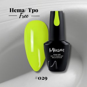 Mixcoco 029