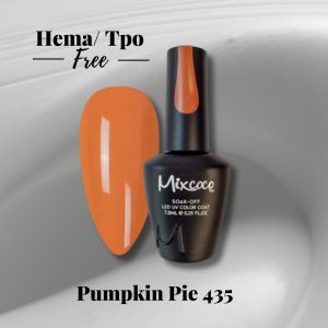 Mixcoco Pumpkin Pie 435