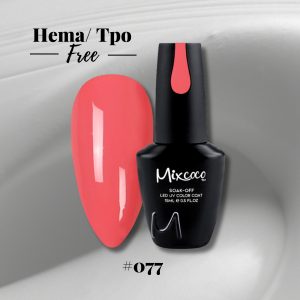 Mixcoco 077